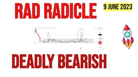 Radicle Crypto Price Prediction